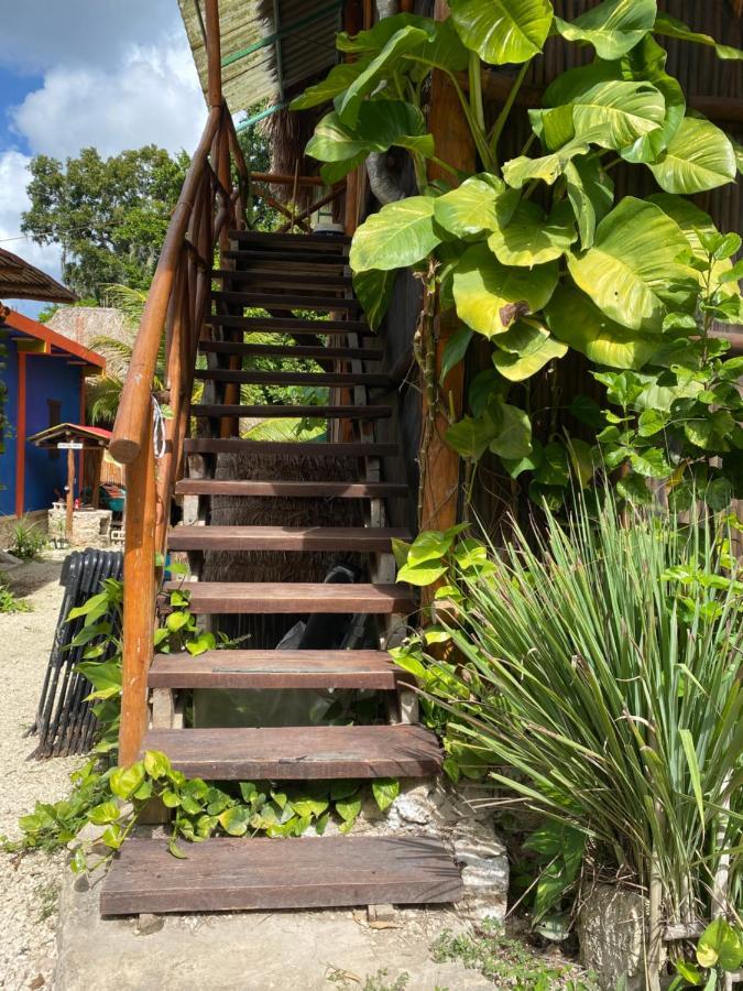Malinche Cafe In Coba Tulum Apartment ภายนอก รูปภาพ